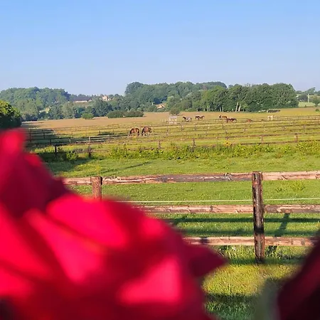 Les Naturelles * Saint-Aubin-de-Locquenay