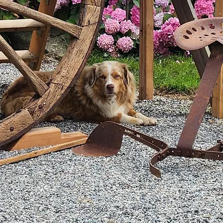 펜션 Les Naturelles Saint-Aubin-de-Locquenay