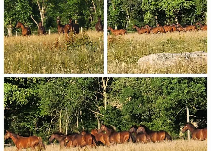 Les Naturelles Semesterbostad