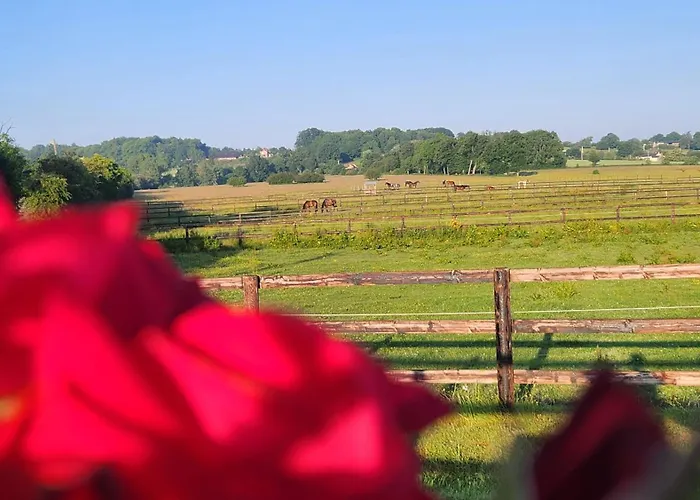 Les Naturelles * Saint-Aubin-de-Locquenay