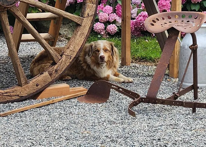 度假居 Les Naturelles Saint-Aubin-de-Locquenay